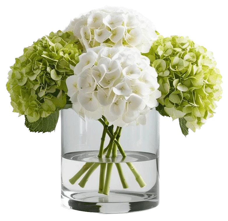 hydrangeas puokste